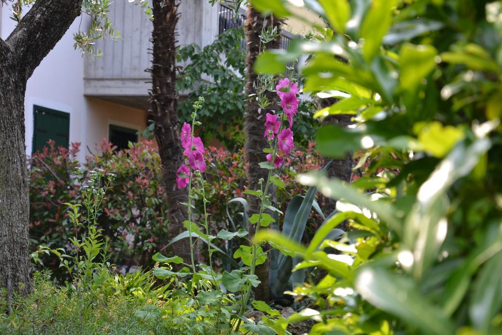 B&B Garda 4U Дезенцано-дель-Гарда Экстерьер фото